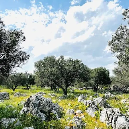 Maison Theia, Entre Et Montagne Semesterbostad Samonás