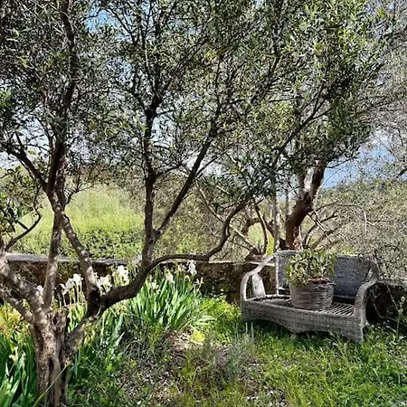 Maison Theia, Entre Et Montagne בית נופש סאמונאס