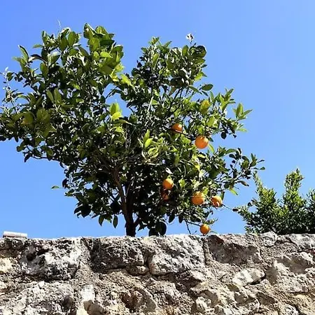 Maison Theia, Entre Et Montagne סאמונאס