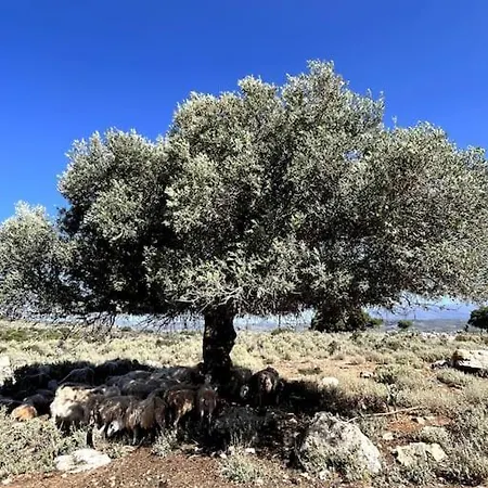 בית נופש Maison Theia, Entre Et Montagne