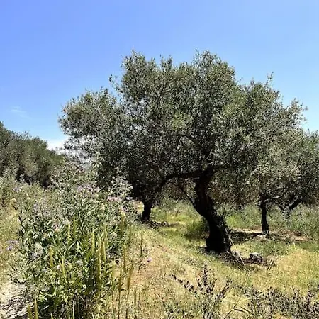 Maison Theia, Entre Et Montagne סאמונאס