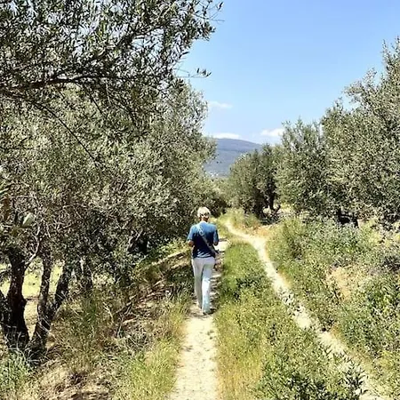 Maison Theia, Entre Et Montagne סאמונאס